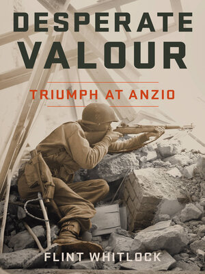 cover image of Desperate Valour